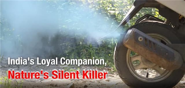 India's Loyal Companion, Nature's Silent Killer